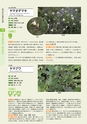 青葉山植物図鑑