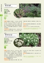 青葉山植物図鑑