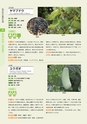 青葉山植物図鑑