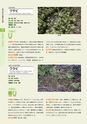 青葉山植物図鑑