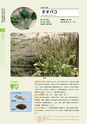 青葉山植物図鑑