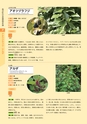 青葉山植物図鑑