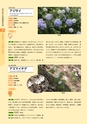 青葉山植物図鑑