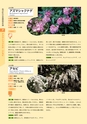 青葉山植物図鑑