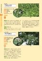 青葉山植物図鑑