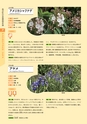 青葉山植物図鑑