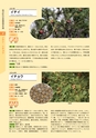 青葉山植物図鑑