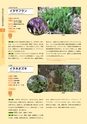 青葉山植物図鑑
