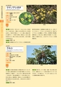 青葉山植物図鑑