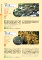 青葉山植物図鑑