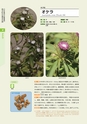 青葉山植物図鑑