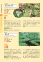 青葉山植物図鑑