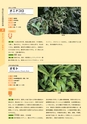 青葉山植物図鑑