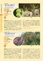 青葉山植物図鑑