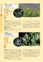 青葉山植物図鑑
