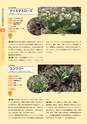 青葉山植物図鑑