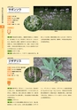 青葉山植物図鑑