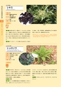 青葉山植物図鑑