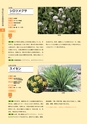 青葉山植物図鑑
