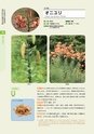 青葉山植物図鑑