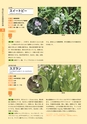 青葉山植物図鑑