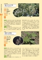 青葉山植物図鑑