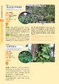 青葉山植物図鑑