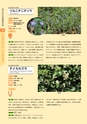 青葉山植物図鑑