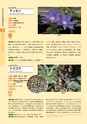 青葉山植物図鑑