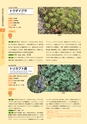 青葉山植物図鑑