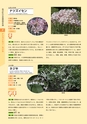 青葉山植物図鑑
