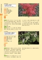 青葉山植物図鑑