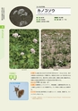 青葉山植物図鑑