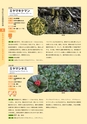青葉山植物図鑑