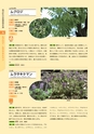 青葉山植物図鑑