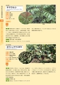 青葉山植物図鑑