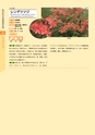 青葉山植物図鑑