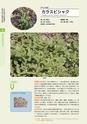 青葉山植物図鑑