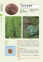 青葉山植物図鑑
