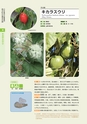 青葉山植物図鑑