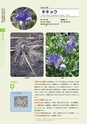 青葉山植物図鑑