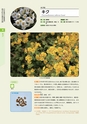 青葉山植物図鑑
