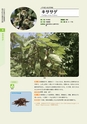 青葉山植物図鑑