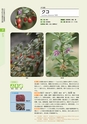 青葉山植物図鑑