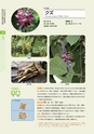 青葉山植物図鑑