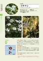青葉山植物図鑑