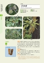 青葉山植物図鑑