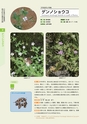 青葉山植物図鑑