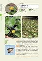 青葉山植物図鑑