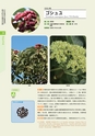 青葉山植物図鑑